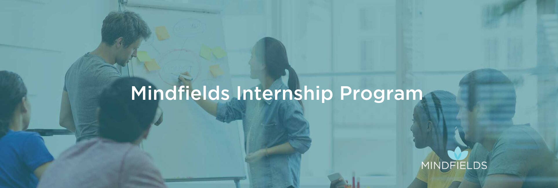 Internship Program at Mindfields