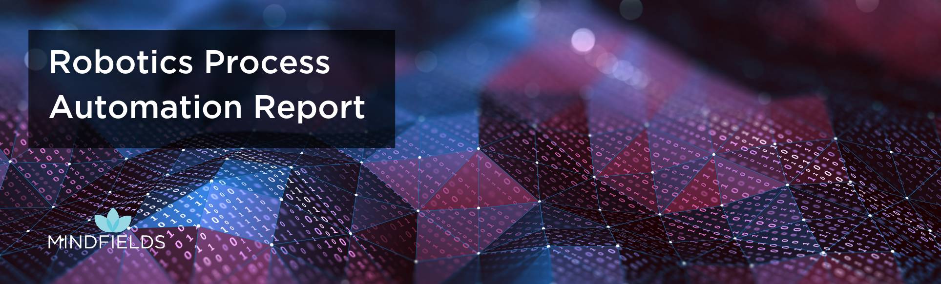 Robotic Process Automation Report