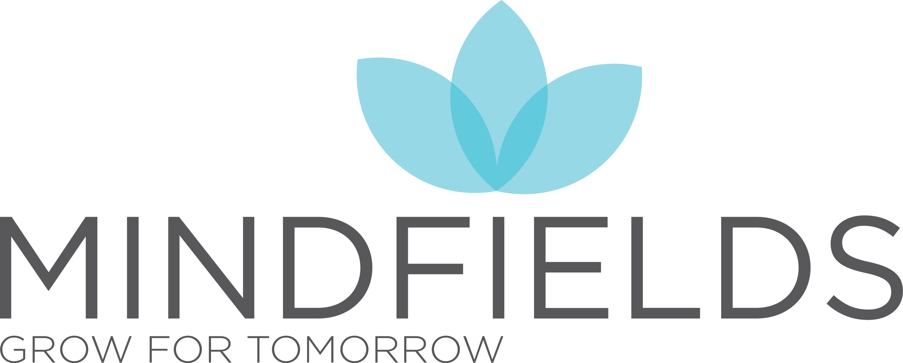 Mindfields LOGO 2017-1